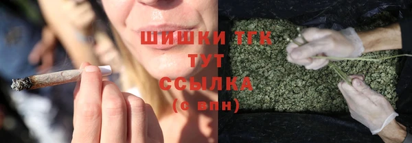 хмурый Богородск
