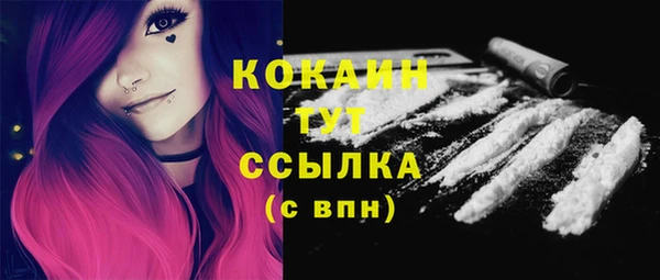 стаф Богданович