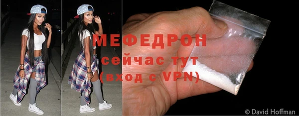 стаф Богданович