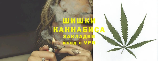 стаф Богданович