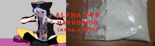 стаф Богданович