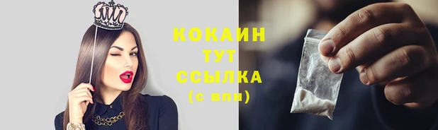 стаф Богданович