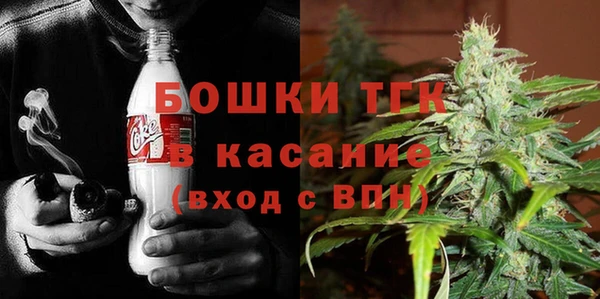 стаф Богданович