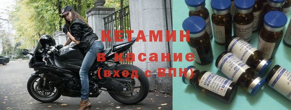 стаф Богданович