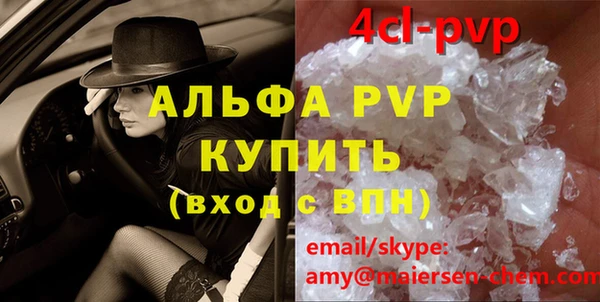 стаф Богданович