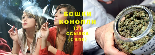 хмурый Богородск
