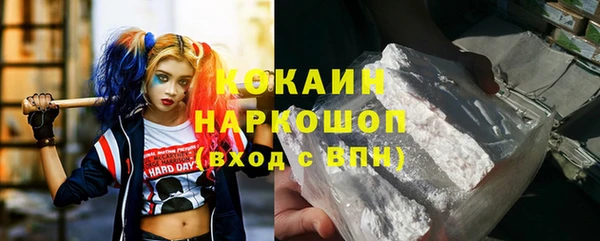 стаф Богданович