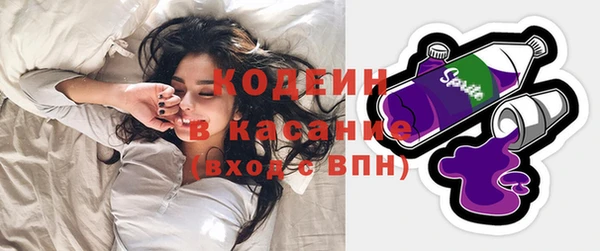 стаф Богданович